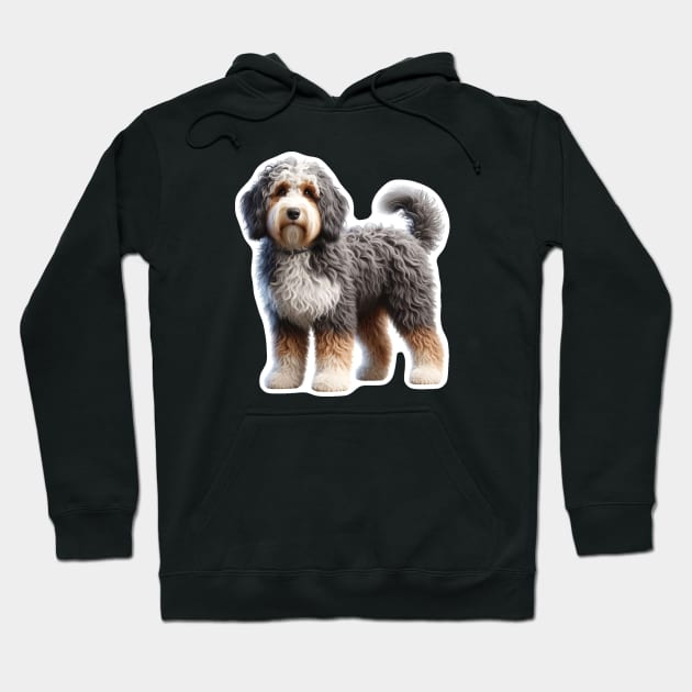 Aussiedoodle Hoodie by millersye